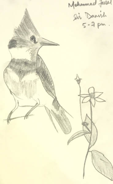 Sketch